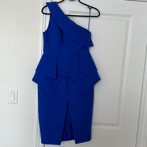 Brand New Cameo The Label Dress